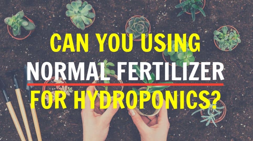 Can You Using Normal Fertilizer For Hydroponics