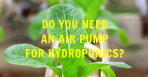 Do You Need An Air Pump For Hydroponics?