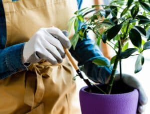 General Fertilizing Principles