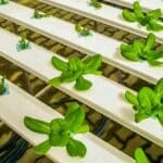 General Hydroponics The Flora Series Fertilizer