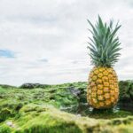 How to Save a Dying Pineapple Plant [Essential Tips]