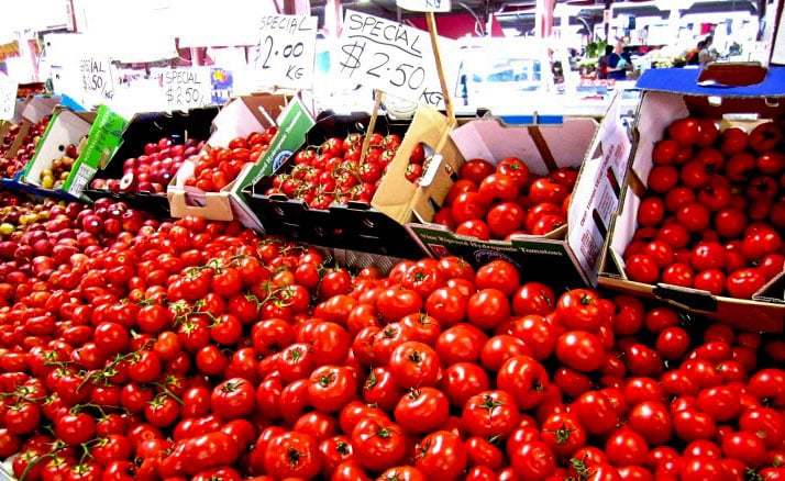 Hydroponic Fertilizer Tomatoes: Choose Your Best Nutrients