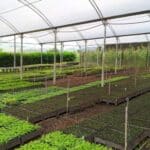 Hydroponics Fertilizer