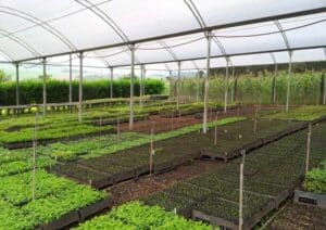 Hydroponics Fertilizer