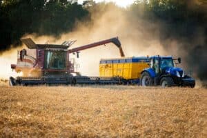 Liquid Fertilizer: The Ultimate Guide + Gardening Tips