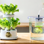 Aeroponics vs Hydroponics: 7 Differences That Decide Which One You Should Grow In