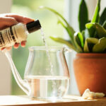 ZZ Plant Fertilizer Schedule: A Simple Year-Round Plan