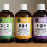Best Indoor Plant Fertilizers: Understanding NPK for Healthier Houseplants