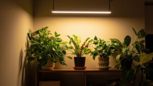 LED grow light bar above healthy indoor plants on a wooden shelf in a real home