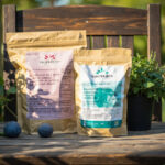 Blueberry Fertilizing Guide: When, What, and How Much to Feed