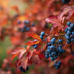 Why Blueberry Leaves Turn Yellow: Causes and How to Fix It