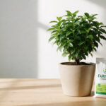 Can You Use NPK Fertilizer on All Plants? When to Say No