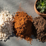 Haworthia Soil Mix Guide: The Mineral-Rich Gritty Recipe That Beats Standard Potting Mix