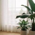 Sunlit apartment corner with houseplants beside a window, one leaf curling upward at its edge