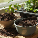 How Much Worm Castings to Use: Ratios for Pots, Beds, and Top Dressing