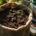 How to Store Worm Castings Without Losing Moisture or Microbial Life