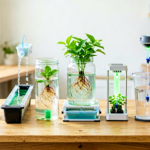 Hydroponic Systems Explained: DWC, NFT, Kratky, Ebb & Flow, Aeroponic (Which One Fits Your Grow)