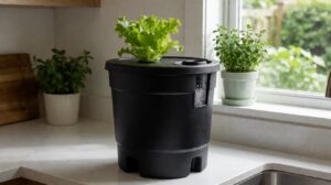 Home hydroponic DWC reservoir with a young lettuce plant in a black net pot on a kitchen counter by a window