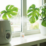 A monstera deliciosa in a white pot next to a cool-mist humidifier and a small analog hygrometer on a bright windowsill.