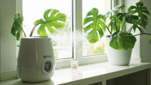 A monstera deliciosa in a white pot next to a cool-mist humidifier and a small analog hygrometer on a bright windowsill.