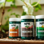 NPK Ratio Explained: What the Numbers Mean for Your Plants