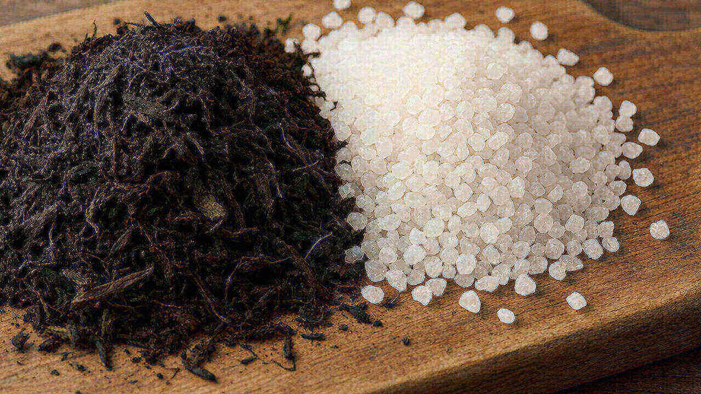 Organic and synthetic NPK fertilizer products side by side on a garden bench