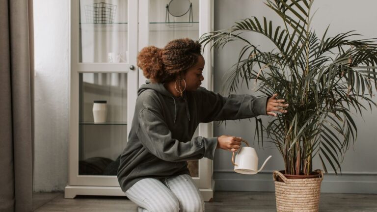 Palm watering guide