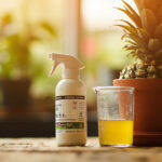 Pineapple Plant Fertilizer Schedule: What to Feed and When