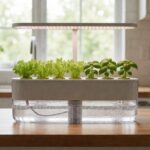 Countertop plug and play hydroponic kit with reservoir, pods, and integrated light on a kitchen counter