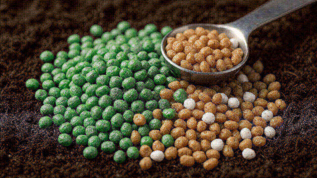 Comparison of quick-release granules and polymer-coated slow-release fertilizer pellets
