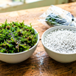 Sphagnum Moss vs Perlite for Air Layering: Which Medium Roots Faster (Moisture Test)