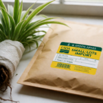 Spider Plant USDA Import Requirements: A Hobbyist’s Guide to Bringing Chlorophytum comosum Through US Customs