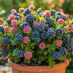 Best Way to Store Fresh Blueberries From Your Garden