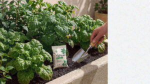Lush green leafy plants in a raised bed with a hand trowel and nitrogen fertilizer
