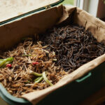 Worm Bin Problems: Smell, Flies, Escaping Worms, and Wet Bedding